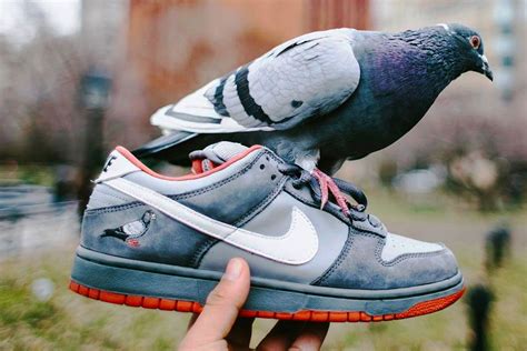 pigeon dunk price